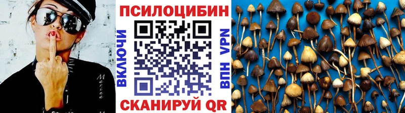 Псилоцибиновые грибы GOLDEN TEACHER  Снежинск 