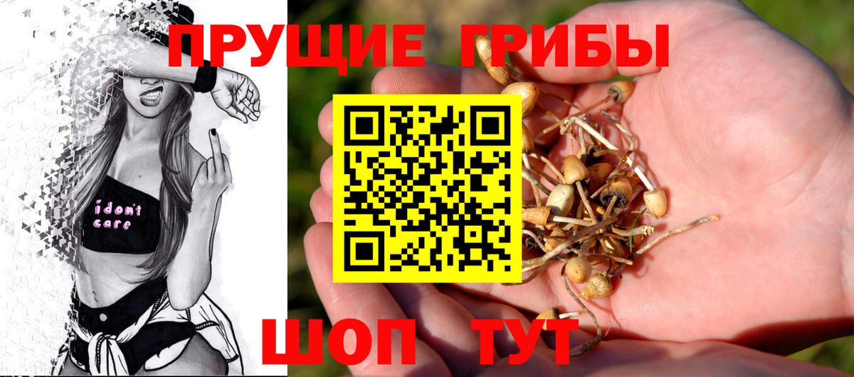 Галлюциногенные грибы прущие грибы  Галлюциногенные грибы ЛСД  Снежинск  Вход с VPN 